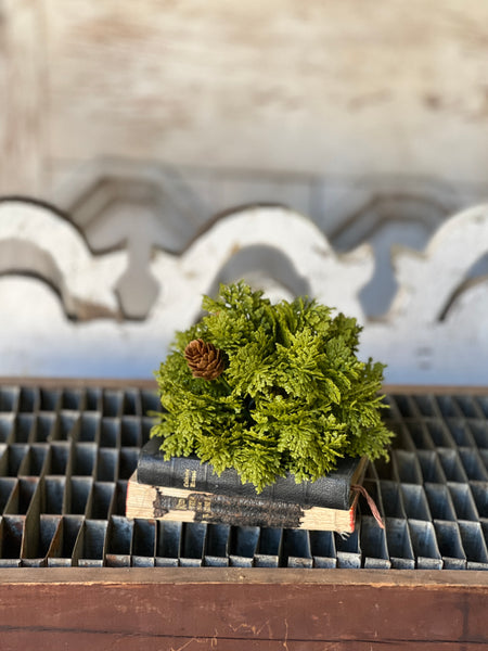 Leyland Cypress Half Sphere | 5.5" | SOLD OUT