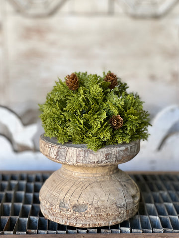 Leyland Cypress Half Sphere | 6" | SOLD OUT