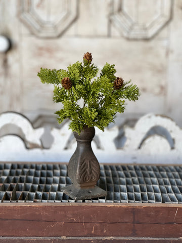 Leyland Cypress Bush | 10.5" | SOLD OUT