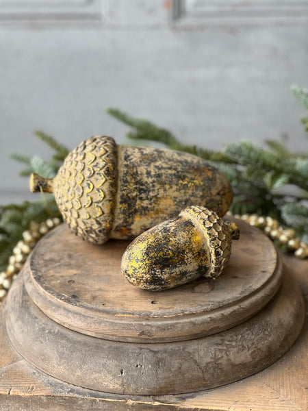 Nature's Masterpiece | 5" | Acorn | SOLD OUT