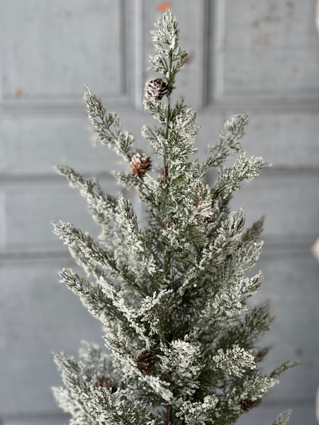 Shilling Cedar Tree | 32"