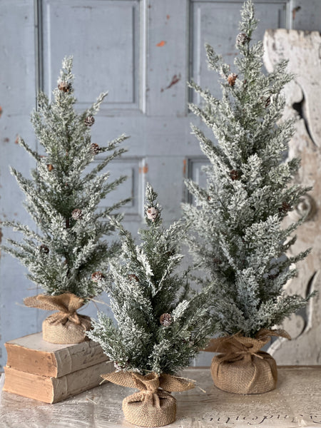 Shilling Cedar Tree | 18"