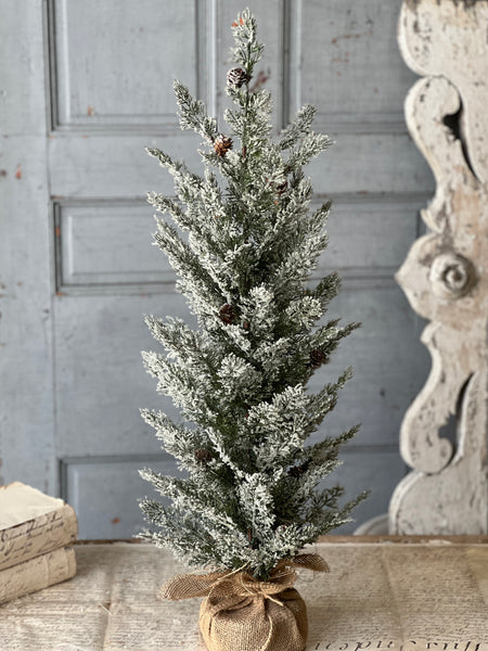 Shilling Cedar Tree | 32"