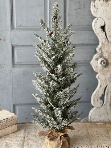 Shilling Cedar Tree | 32"