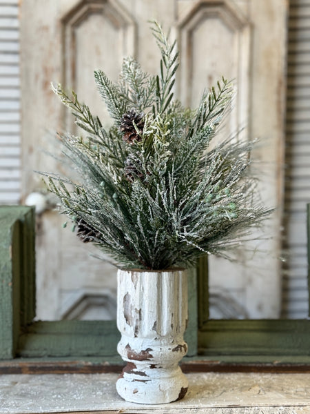Wishing Wilderness Fir Spray | 24"