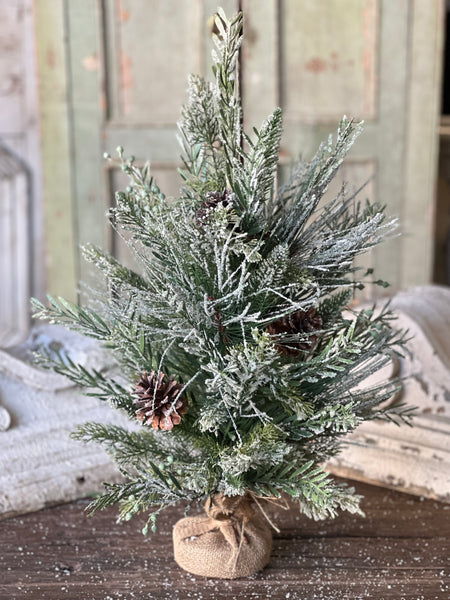 Wishing Wilderness Fir Tree | 24"