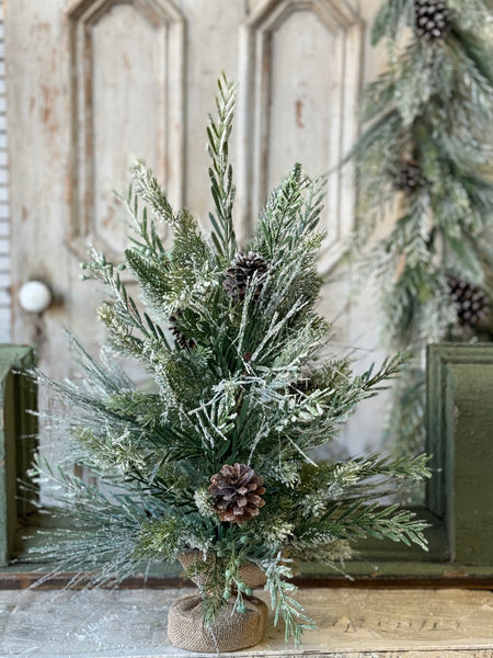 Wishing Wilderness Fir Tree | 24"