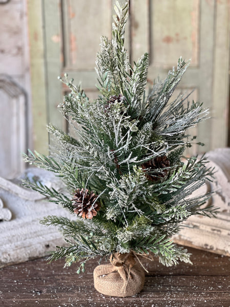 Wishing Wilderness Fir Tree | 24"