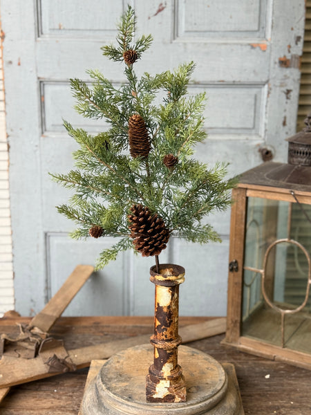 Longhope Cedar Spray | 30" | NOT CURRENTLY IN STOCK-New For Holiday 2026!