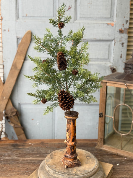 Longhope Cedar Spray | 30" | NOT CURRENTLY IN STOCK-New For Holiday 2026!