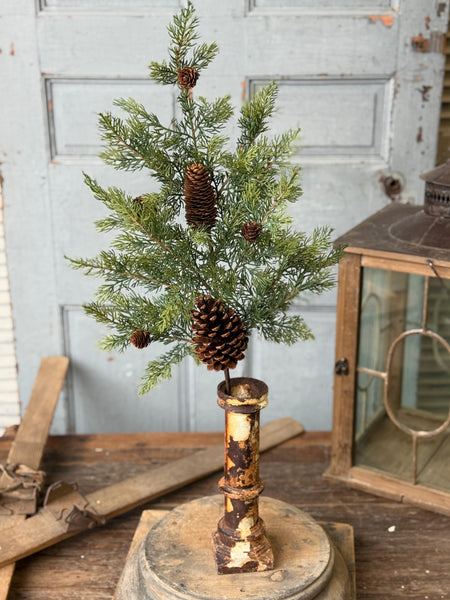 Longhope Cedar Spray | 30" | NOT CURRENTLY IN STOCK-New For Holiday 2026!