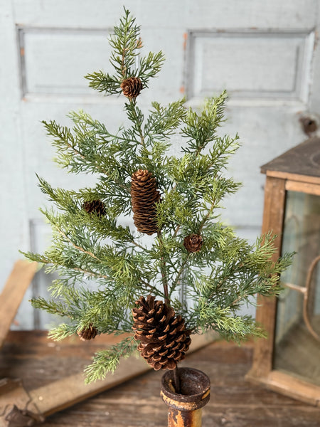 Longhope Cedar Spray | 30" | NOT CURRENTLY IN STOCK-New For Holiday 2026!