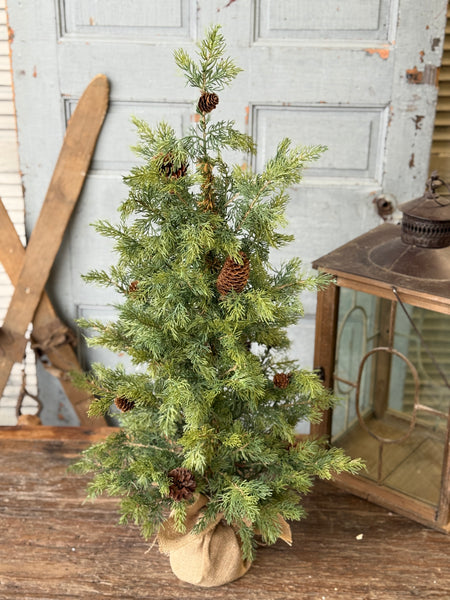 Longhope Cedar Tree | 36" | NOT CURRENTLY IN STOCK-New For Holiday 2026!
