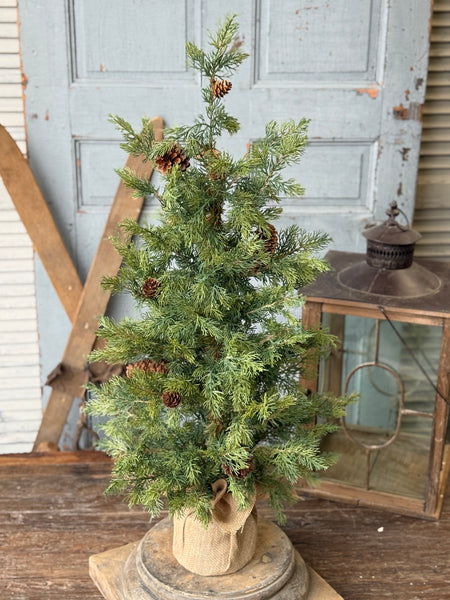 Longhope Cedar Tree | 36" | NOT CURRENTLY IN STOCK-New For Holiday 2026!