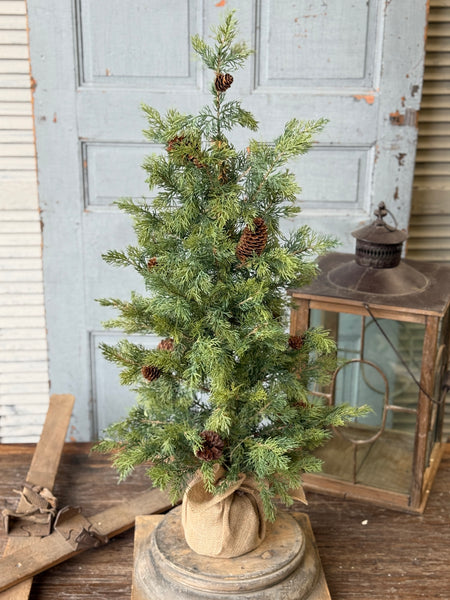 Longhope Cedar Tree | 36" | NOT CURRENTLY IN STOCK-New For Holiday 2026!