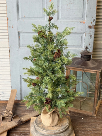 Longhope Cedar Tree | 36" | NOT CURRENTLY IN STOCK-New For Holiday 2026!