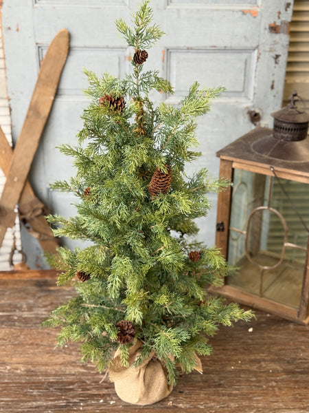Longhope Cedar Tree | 36" | NOT CURRENTLY IN STOCK-New For Holiday 2026!