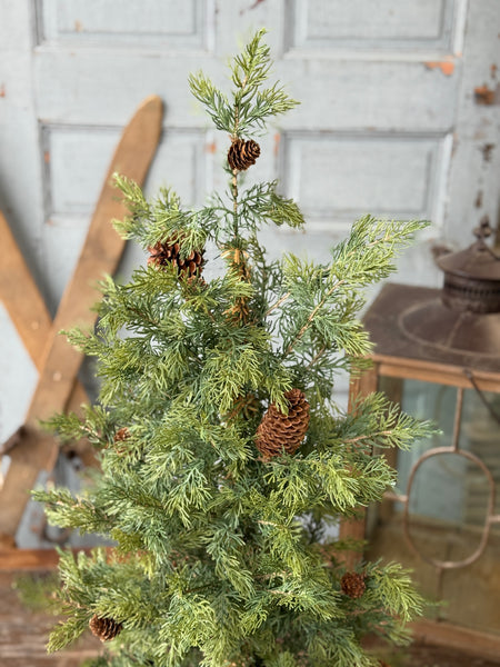 Longhope Cedar Tree | 36" | NOT CURRENTLY IN STOCK-New For Holiday 2026!