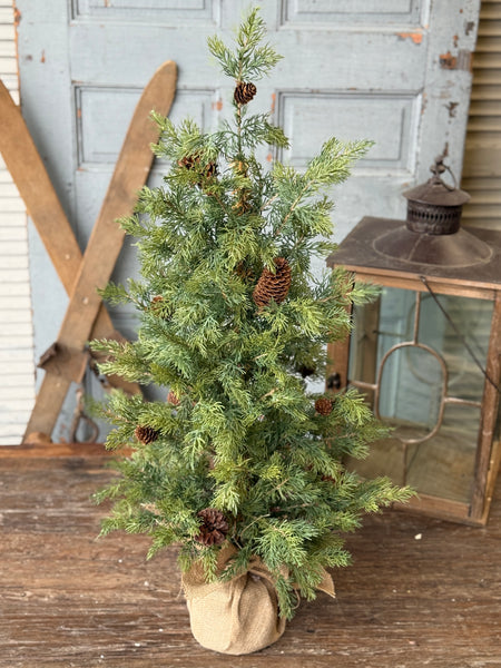 Longhope Cedar Tree | 36" | NOT CURRENTLY IN STOCK-New For Holiday 2026!