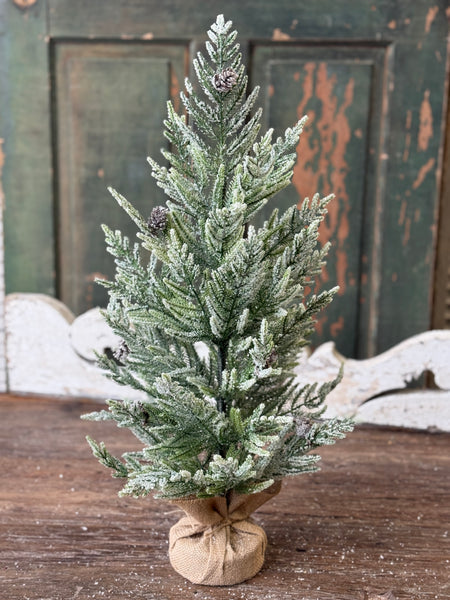 Winter Overture Pine Tree | 24" | NOT CURRENTLY IN STOCK-New For Holiday 2026!