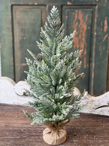 Winter Overture Pine Tree | 24" | NOT CURRENTLY IN STOCK-New For Holiday 2026!