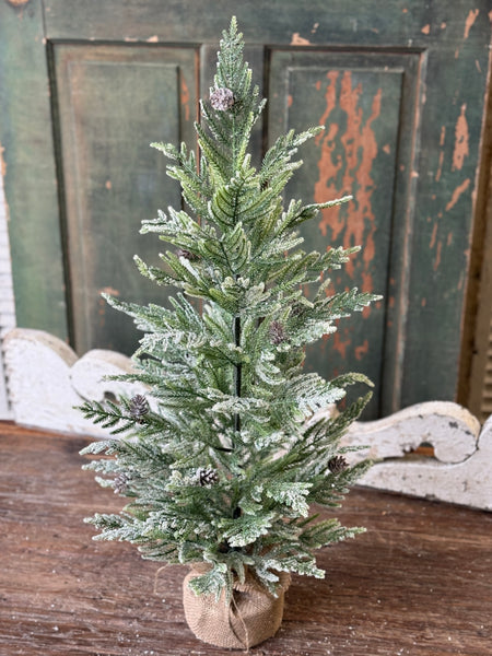 Winter Overture Pine Tree | 30" | NOT CURRENTLY IN STOCK-New For Holiday 2026!