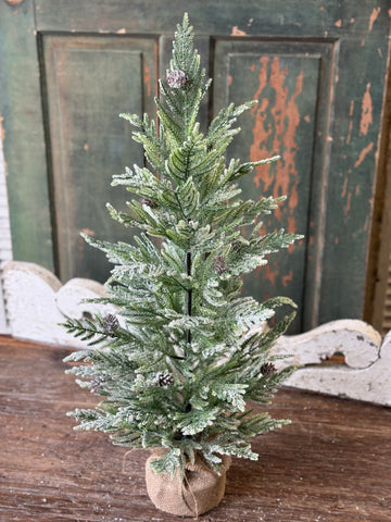 Winter Overture Pine Tree | 30" | NOT CURRENTLY IN STOCK-New For Holiday 2026!