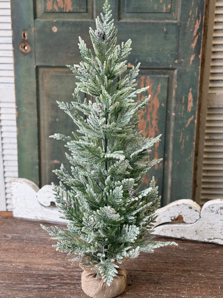 Winter Overture Pine Tree | 36" | NOT CURRENTLY IN STOCK-New For Holiday 2026!