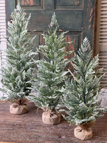Winter Overture Pine Tree | 36" | NOT CURRENTLY IN STOCK-New For Holiday 2026!