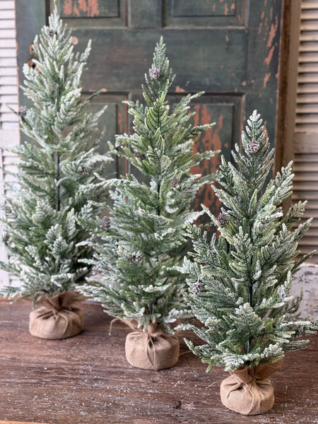 Winter Overture Pine Tree | 24" | NOT CURRENTLY IN STOCK-New For Holiday 2026!