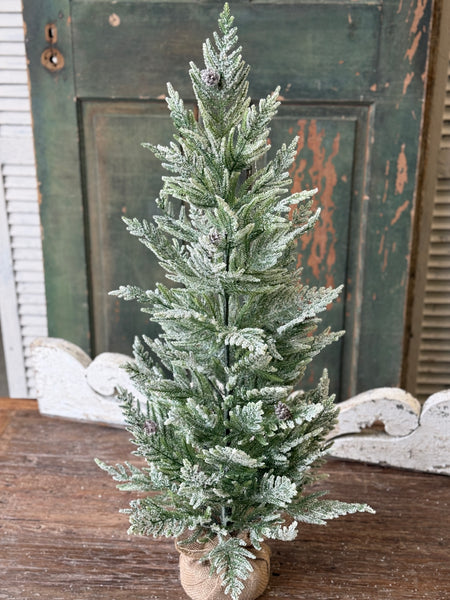 Winter Overture Pine Tree | 36" | NOT CURRENTLY IN STOCK-New For Holiday 2026!