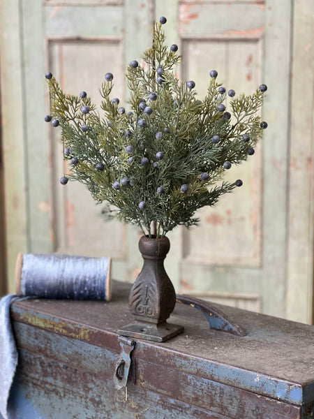 Midnight Juniper Bush | 18"