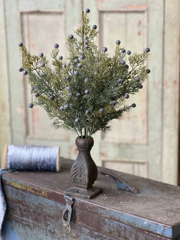 Midnight Juniper Bush | 18"