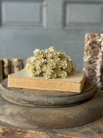 Diamond Dust Half Sphere | 5" | NOT CURRENTLY IN STOCK-New For Holiday 2026!