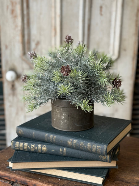 Glitter Laced Cedar Half Sphere | 12" | NOT CURRENTLY IN STOCK-New For Holiday 2026!