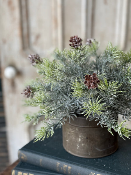 Glitter Laced Cedar Half Sphere | 12" | NOT CURRENTLY IN STOCK-New For Holiday 2026!