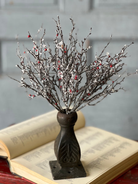 Star Struck Berry Branch Bush | 12" | SOLD OUT