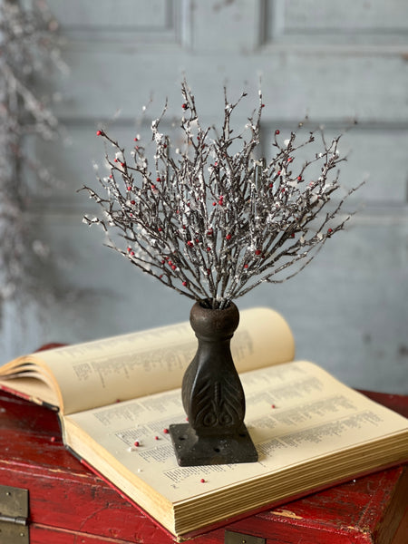 Star Struck Berry Branch Bush | 12" | SOLD OUT