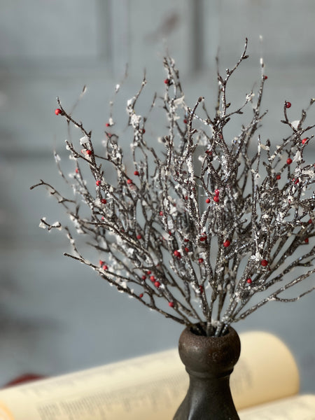 Star Struck Berry Branch Bush | 12" | SOLD OUT