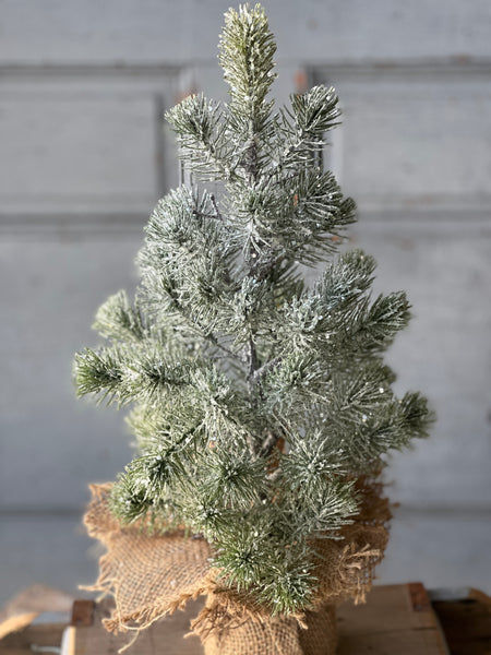 Icy Valdez Pine Tree | 18" | CLEAN UP SPECIAL!  From $6.50 - Last 52pcs!