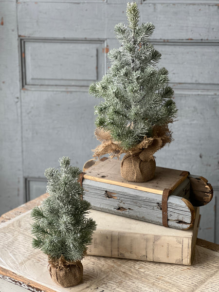 Icy Valdez Pine Tree | 18" | CLEAN UP SPECIAL!  From $6.50 - Last 52pcs!