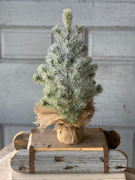 Icy Valdez Pine Tree | 18" | CLEAN UP SPECIAL!  From $6.50 - Last 52pcs!