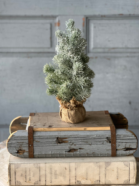 Icy Valdez Pine Tree | 12" | CLEAN UP SPECIAL!  From $4.30 - Last 24pcs!