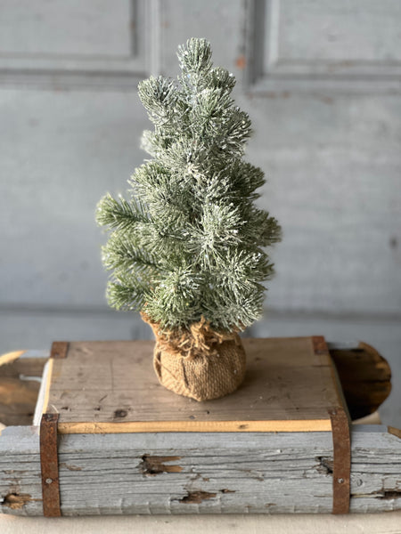 Icy Valdez Pine Tree | 12" | CLEAN UP SPECIAL!  From $4.30 - Last 24pcs!