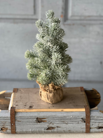 Icy Valdez Pine Tree | 12" | CLEAN UP SPECIAL!  From $4.30 - Last 24pcs!