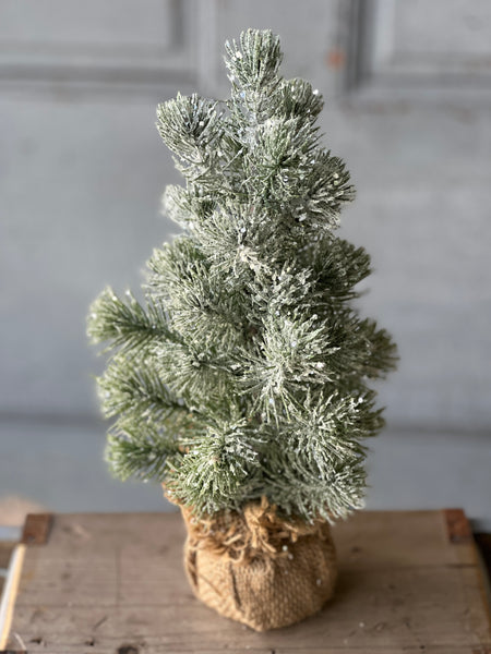 Icy Valdez Pine Tree | 12" | CLEAN UP SPECIAL!  From $4.30 - Last 24pcs!