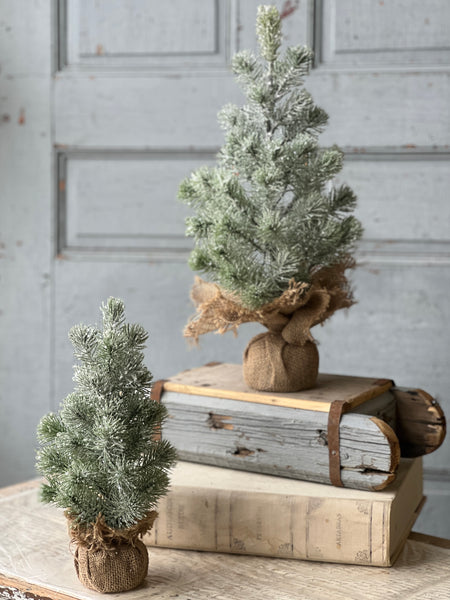 Icy Valdez Pine Tree | 12" | CLEAN UP SPECIAL!  From $4.30 - Last 24pcs!