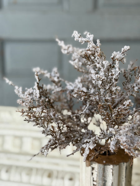 Fallen Snow Cedar Bush | 15" | NOT CURRENTLY IN STOCK-New For Holiday 2026!