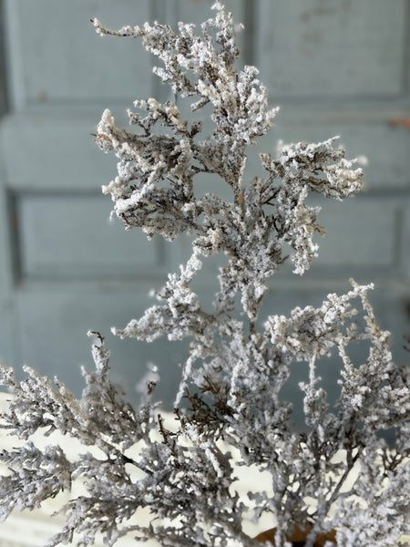 Fallen Snow Cedar Spray | 28" | NOT CURRENTLY IN STOCK-New For Holiday 2026!