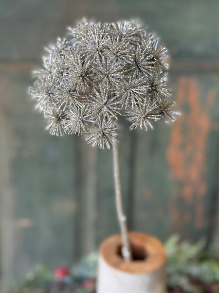 Star Gazer Pick | 27" | NOT CURRENTLY IN STOCK-New For Holiday 2026!